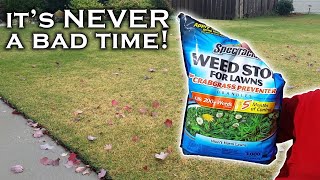 It’s not too late to prevent weeds. Spectracide Weed Stop PreEmergent can help if you use it right.