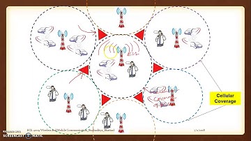 Lecture 1: Cellular shape