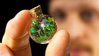 This Tiny Terrarium Is Not What You Think by SerpaDesign 212,482 views 5 months ago 8 minutes, 35 seconds