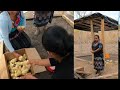 proyecto de mini Granja Con Doña Maria Huico Gracias a La Pagina La Laguna Concepcion san Marcos