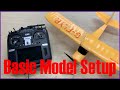 How to Set Up DSMX BNF Planes with the RadioMaster TX16S (Tutorial)