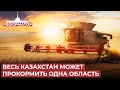 Казахстан пока не может похвастаться сельским хозяйством