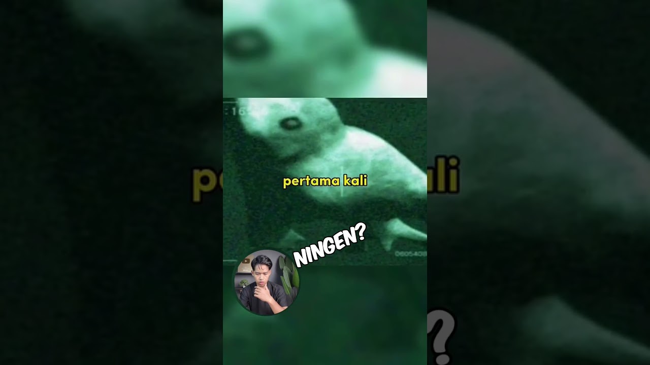 Mosasaurs Terekam Kamera di Dunia Nyata