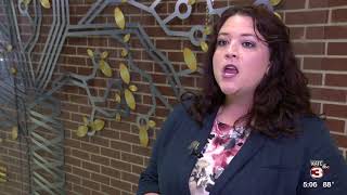 Gov Workforce Plan SLCC