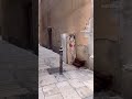 Un hombre llora por denuncia falsa – street art video Barcellona, streetart video, arte urbano Barcelone