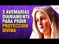 🌺💮🌸 Las 3 AVEMARÍAS diarias de PROTECCIÓN 🙏 - Palabra Del Señor ✝