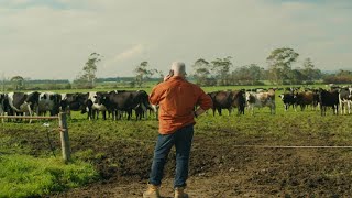 Recouping you energy upgrade costs - Using the Victorian Energy Upgrades program
