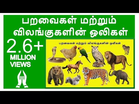 பறவைகள் மற்றும் விலங்குகளின் ஒலிகள்|Learn Birds and Animals Sound in Tamil