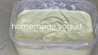 Home made yoghurt - how to make yogurt at home - ayzahcuisine