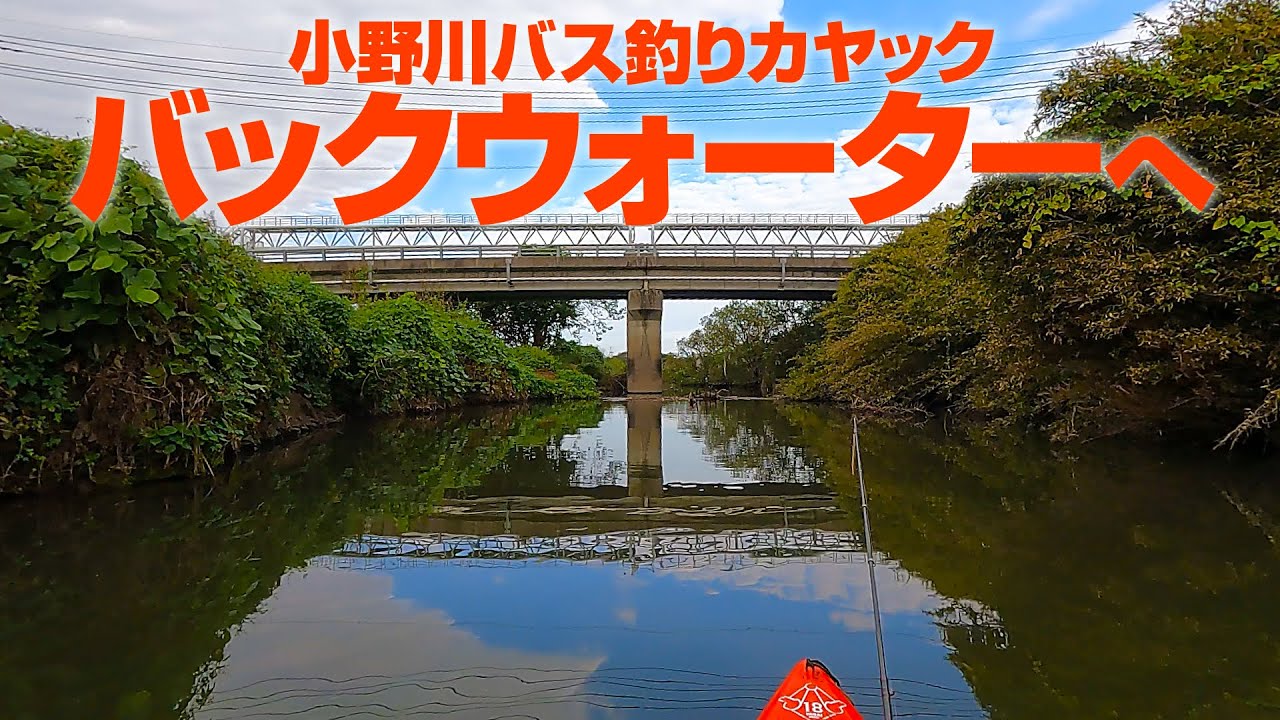 バス釣りカヤック～小野川バックウォーターへ【霞水系】