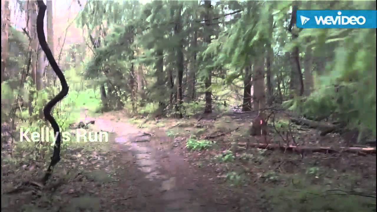 H3O Challenge Adventure Hike Conestoga Trail Part 1 Kelly's Run