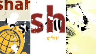 Ushahidi Case Solution & Analysis- TheCaseSolutions.com