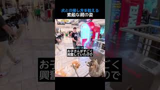 犬との接し方を教える素敵な親の姿