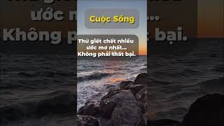 #kientri #thanhcong #dongluc #phattrienbanthan #suyngam #cuocsong #shorts #fyp #kyluat #truongthanh