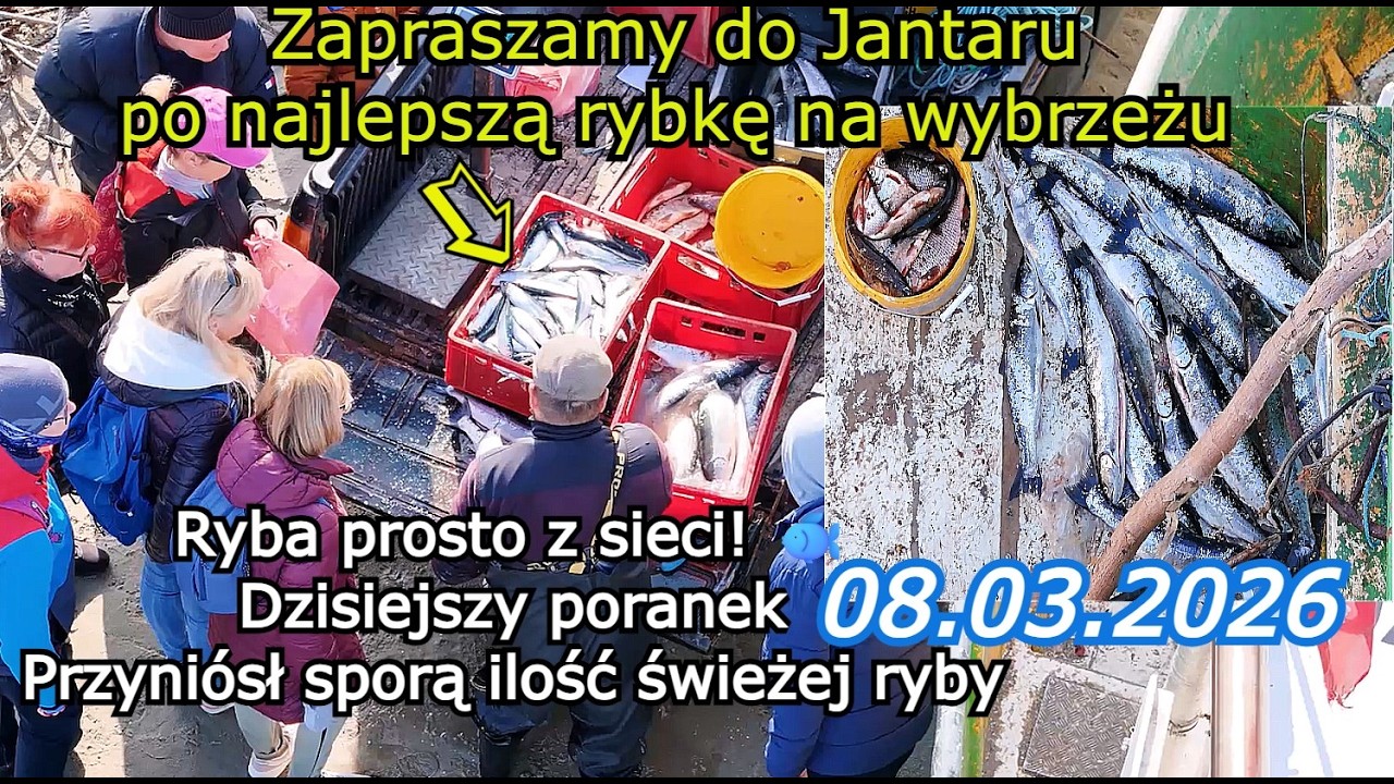 Rybacy wrócili z Morza Sprzedają Rybkę Turystom Prosto z Łodzi. Zobacz ile ryby -- 08.03.2026