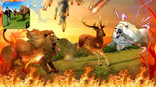 Hunting Out Prey| Rage Of Lion Gameplay | Lion Simulator | Lion Game | Animal Simulator |Mobile Game screenshot 5