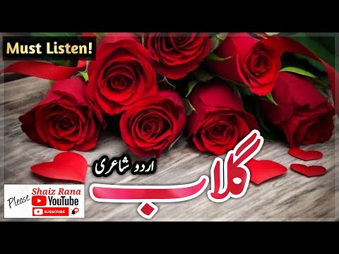        گلاب اردو شاعری     
