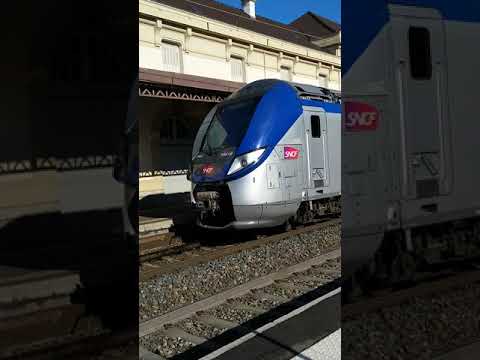 2 TER en gare de Saint Chamond