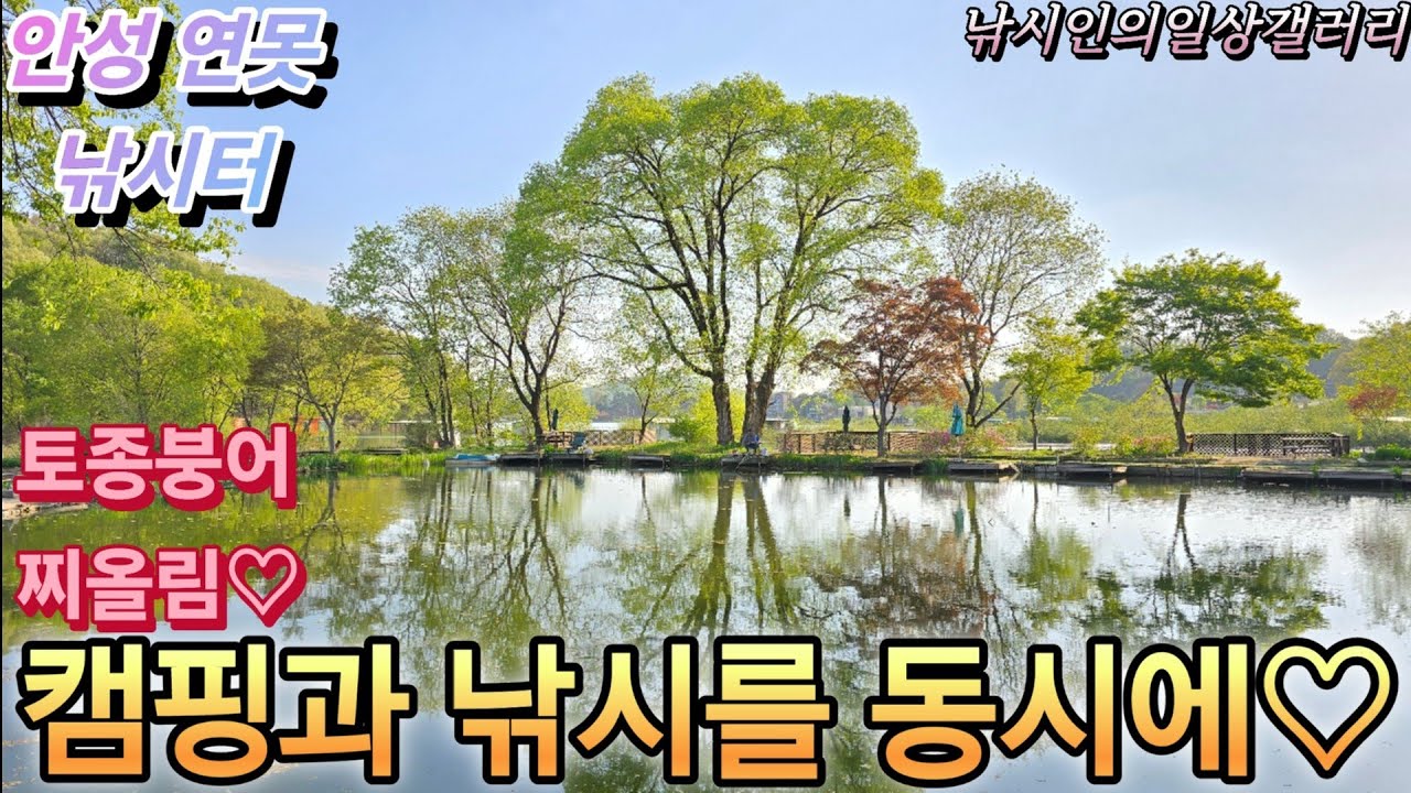 캠핑과 낚시를 동시에♡(안성연못낚시터)