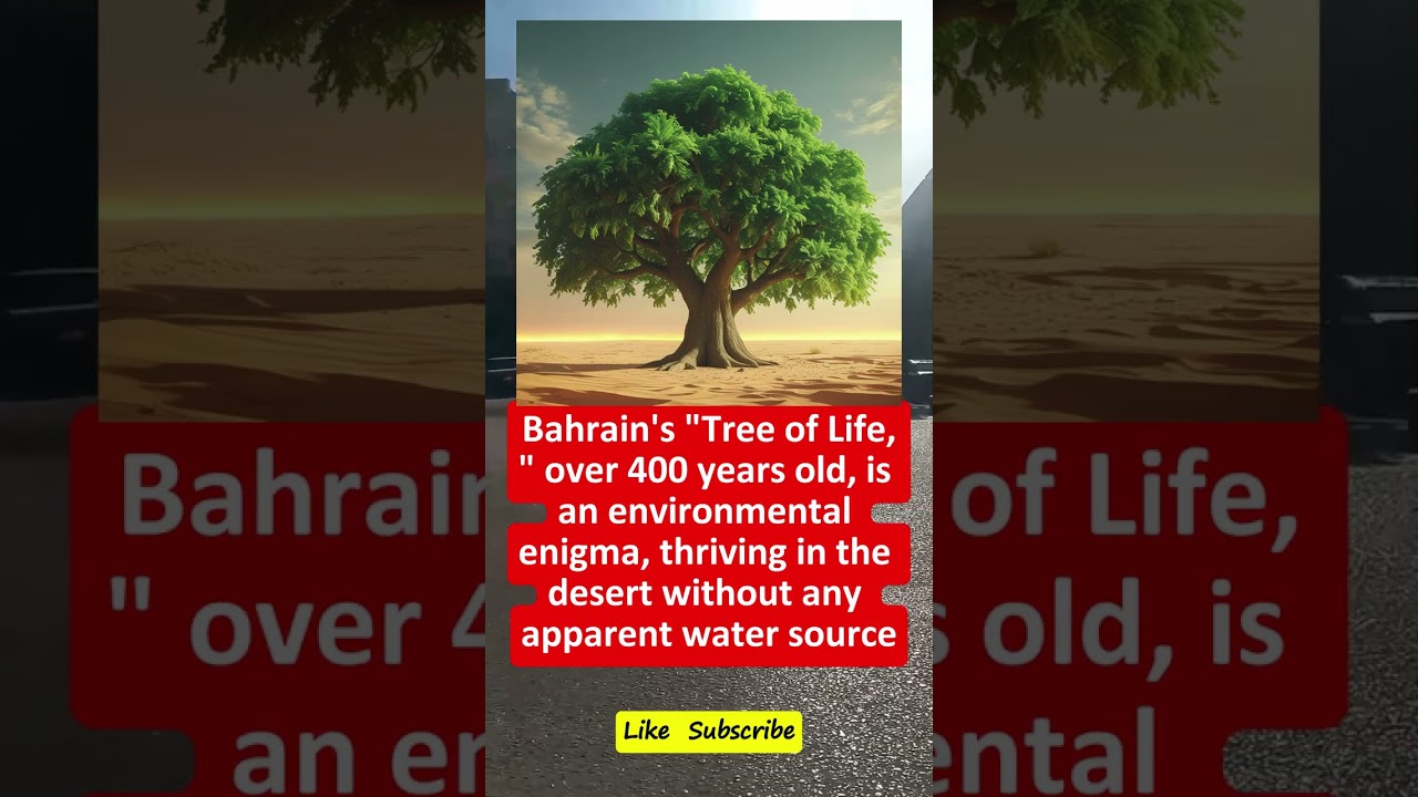🧐 Surviving 400 Years Without Visible Water — How?