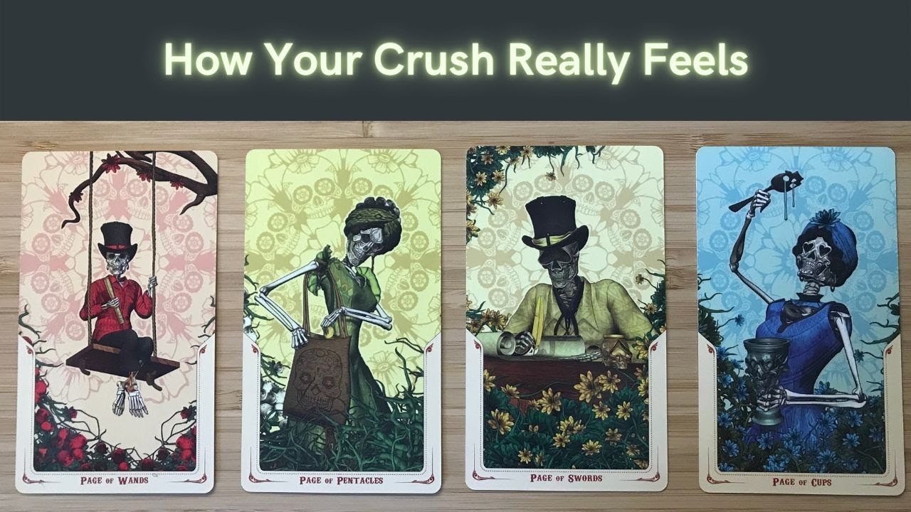 PICK A CARD 💘 Your Crush's True Feelings! 🌈😍 - YouTube
