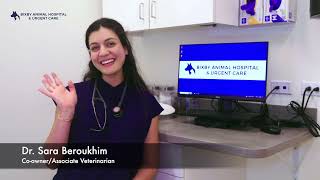 Bixby Animal Hospital & Urgent Care: Veterinary Hospital Tour