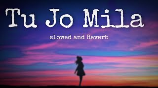 Tu Jo Mila [Slowed Reverb] - K.K. Pritam | Bajrangi Bhaijaan | Music lovers | APX Music zone