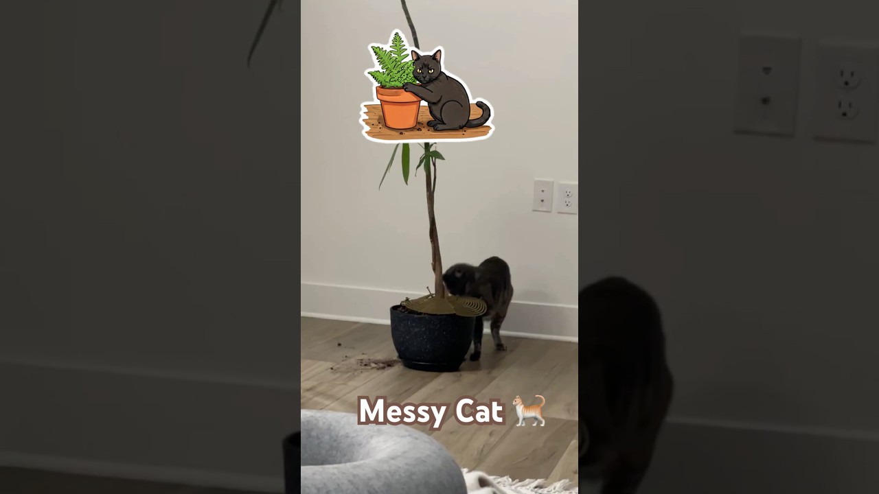 Messy Cat Diggng soil from House plant #messycats #catshorts #naughtypets #naughtycats #purrfect