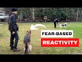 How we fix fear reactivity in dogs