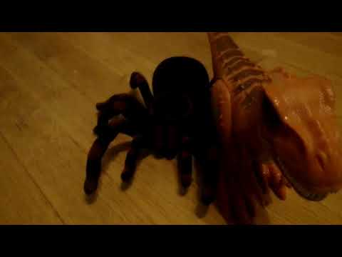 Video: Mustan Hämähäkin Ennustus Pimeyden Prinssin Saapumisesta - Vaihtoehtoinen Näkymä
