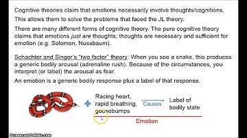 Philosophy of Emotion 2 - Cognitive Theories