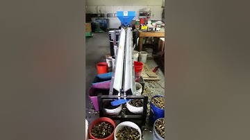 Bulk Ammo Brass Case Sorting Process
