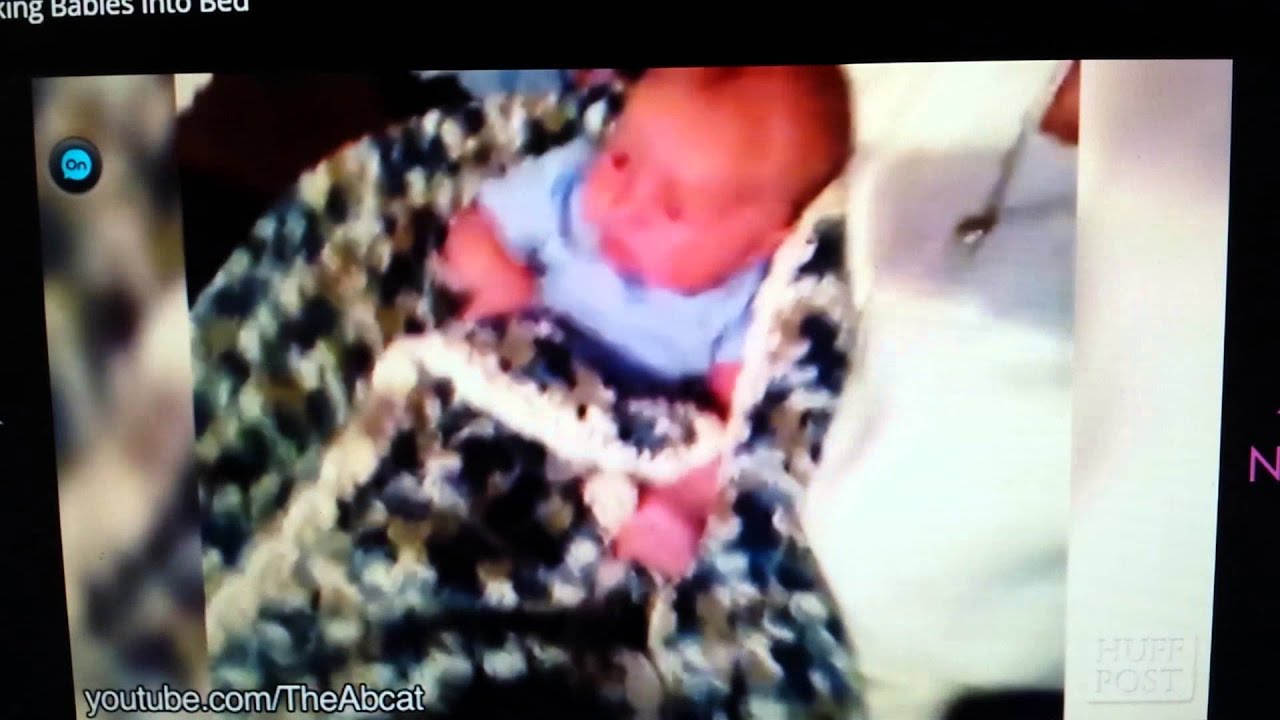 Youtube Dogs Putting Babies To Bed Youtube Dogs Putting Babies To Bed