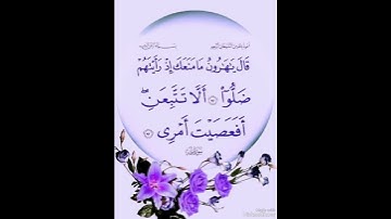 ما تيسر من الذكر الحكيم القارئ د.بريك سعد بريك