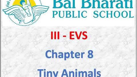 III EVS Chapter 8 Tiny Animals Exercises Part 2