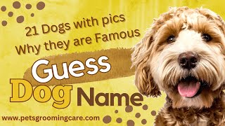 Guess Dog Name 21 Dogs with Pics Why they are Famous