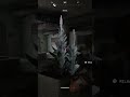 Firefly is not messing around | #katiej2019 on #Twitch