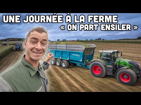 MY LIFE ON THE FARM: SILAGE AT PY / TRACTOR POLISHING / BREEDING