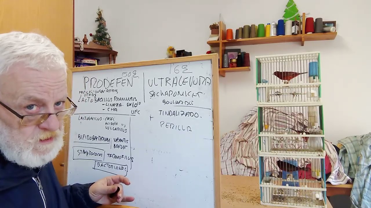 HUMEDAD en el AVIARIO.KEFIR🦠🦠🦠🦠🦠🦠🦠🦠🦠🦠🦠🦠🦠