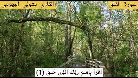 سورة العلق القارئ متولي البيومي