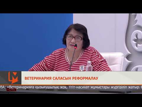 Бейне: Қауіпсіздік жүйесінен гөрі ит жақсы ма?