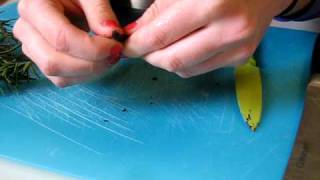 Exclusive Splitting and Scraping da Vanilla Bean Profile