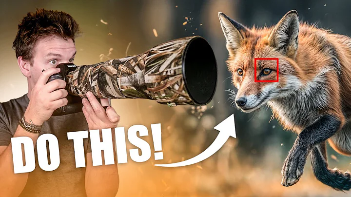 5 tips for RAZOR SHARP photos