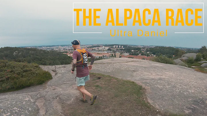 Daniel springer The Alpaca Race
