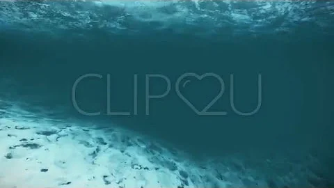 Underwater Frozen Lake footage - c2u1046