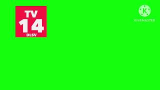 ADULTOPIA TV-14-DLSV Rating Bug (2010-Present)