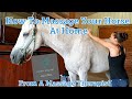 How to Massage Your Horse At Home | From An Equine Massage Therapist |