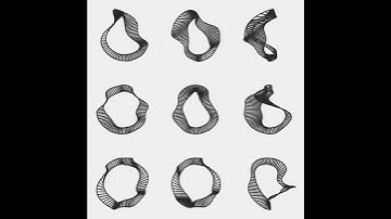Distorted circle. openFrameworks