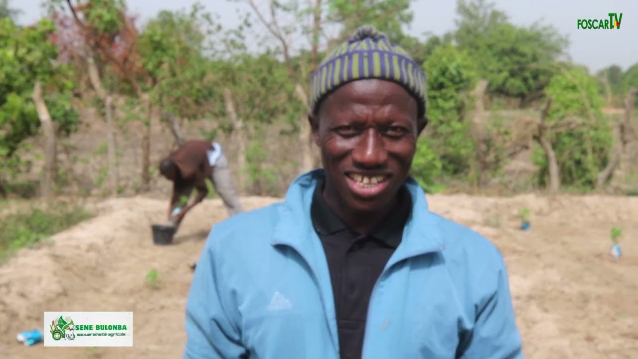 Les Jeunes Ruraux de Narena créent des emplois verts 