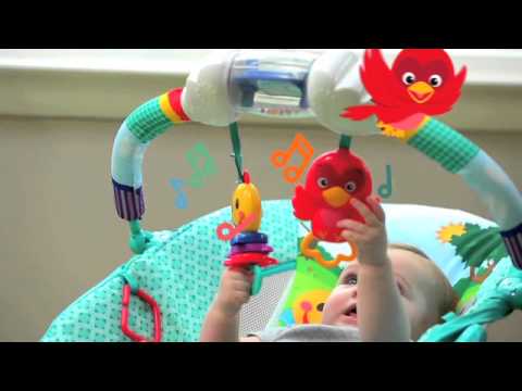 baby einstein bouncy chair